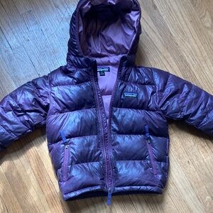 Patagonia Shiny Purple Hooded Jacket